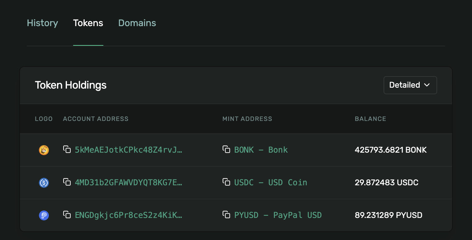 Solana Explorer Token Account Details
